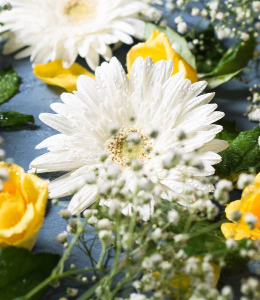 Floral background with yellow and white flowers on blue Floral composition of yellow roses and white gerbera flowers on blue background with green leaves